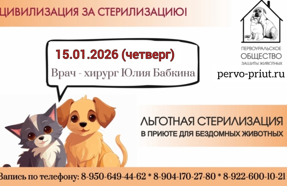 lPt_eawVi1uE-eStxfQUNxxgCocXsT8Ny7DmXMRu