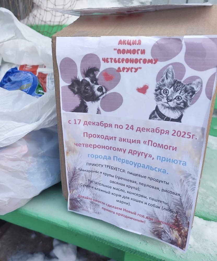 1w2wqd7H5SBm2zO9mMNlPINkXCLP_oP013PKHHNA