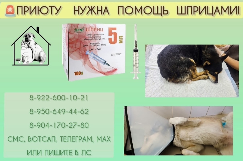 KK9Y1rnsQXxZtNCGEl7uvCrk3xfRLyY6WkE_-uy3