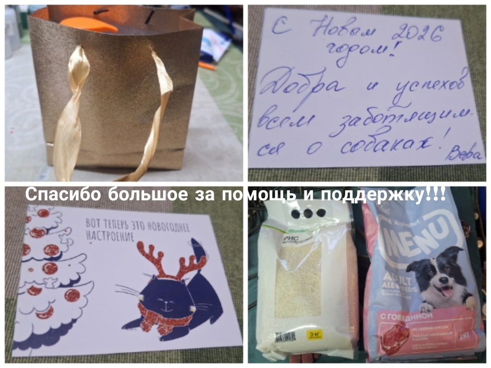 qLegkMLQtkscMNxHFx6jdZlN4XL_QGHMi0Jf8Aa9