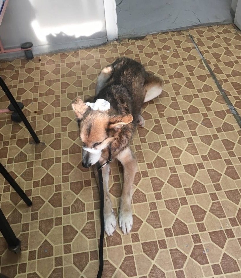 IOeSUjcVMmPZGottPrgvTZa4rYGtKNttw7cazYef