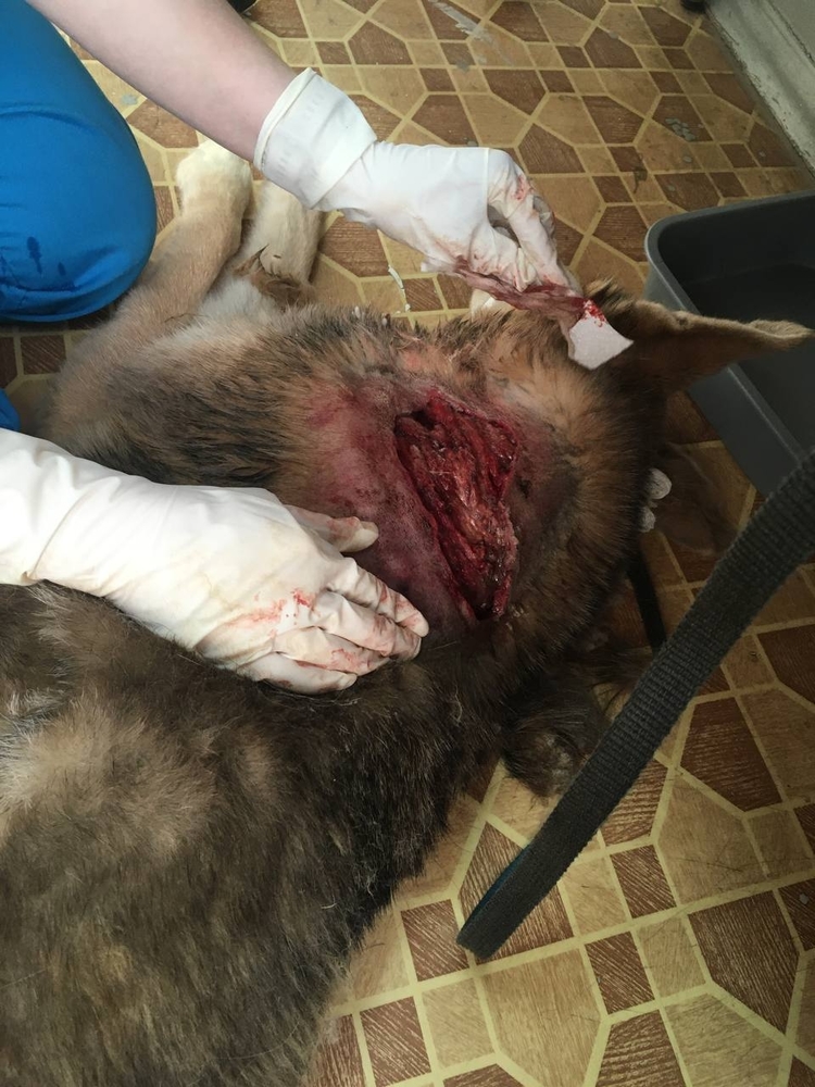 iqzS_CZ44hRrGmBTsvVV4nWXCE7Me7QAEB1RCEzG