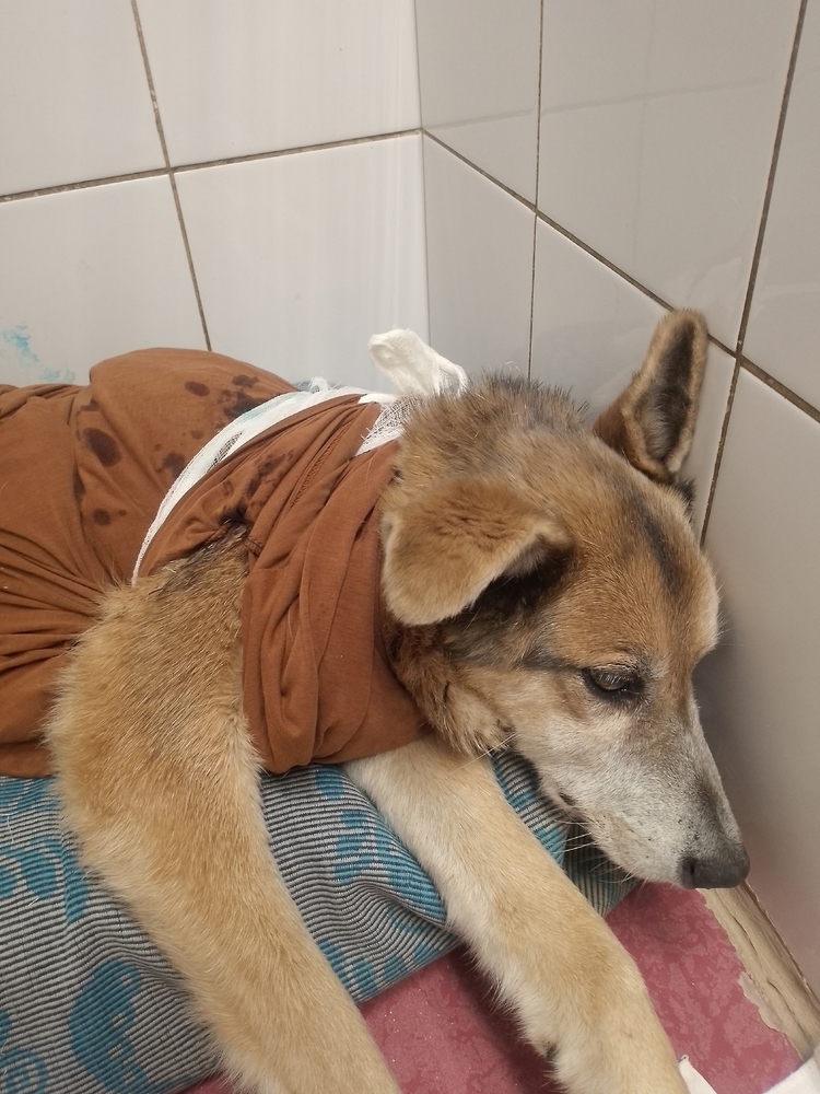 pCnPpC-fHIb5chtGt19FS7VKXnEHifqWdmStHp8l