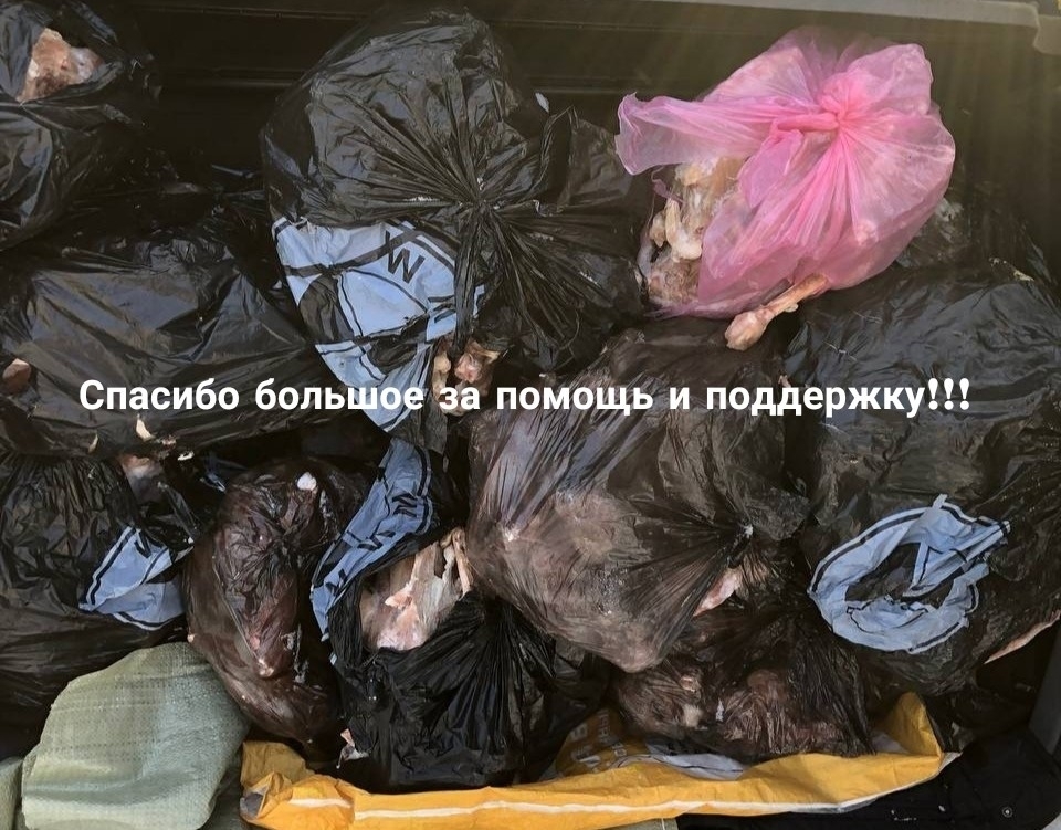 0itMDDJ3X9E58XldKPTY8ZjFvknJiiDiZVhOf985