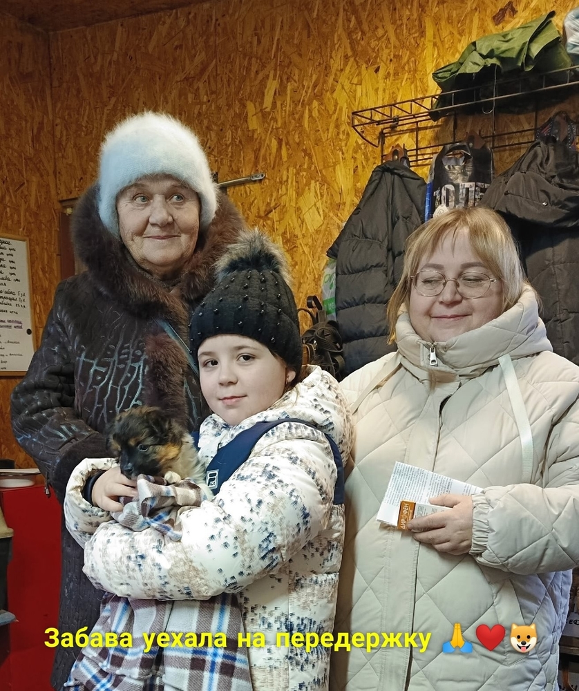 L141LoqpGHW62sYglPGattOxSF72u3nvwnO0R0To