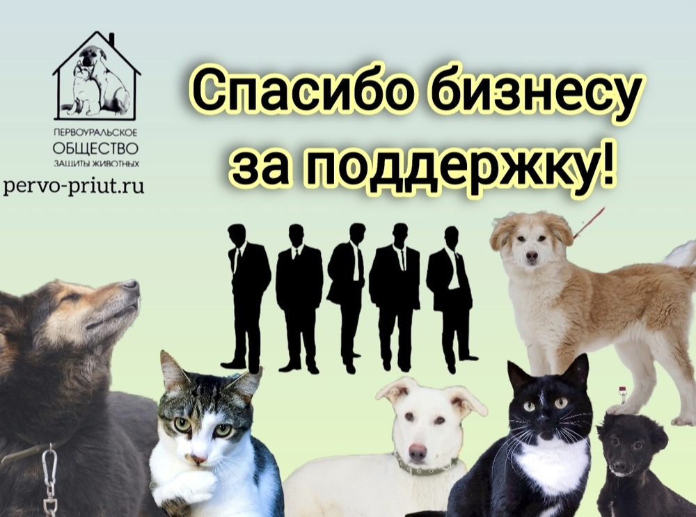 UBIduWwHqdGHtNeJDvlLI4Vq7LKu8c-X35Mv3Uqd