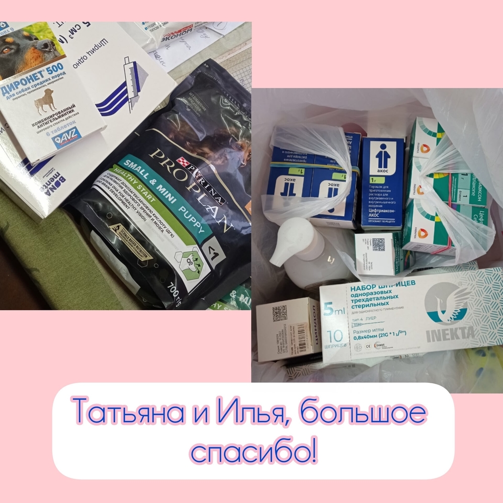 9zqZVlGMoSVaIR6bOUl9akgUjBoGPYoyvgx_pcCo