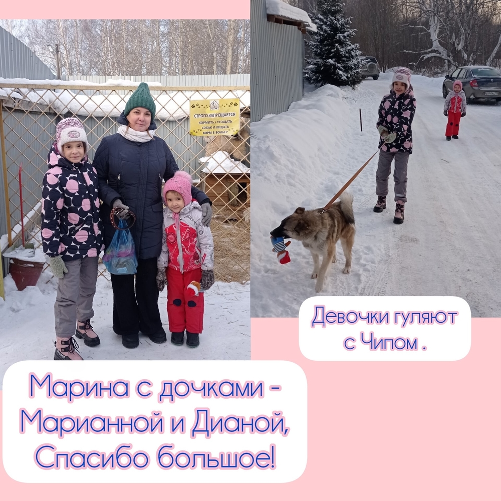 JJQDtTiEF0niepPqNBdrT2cmElab15SsLj9HViK2