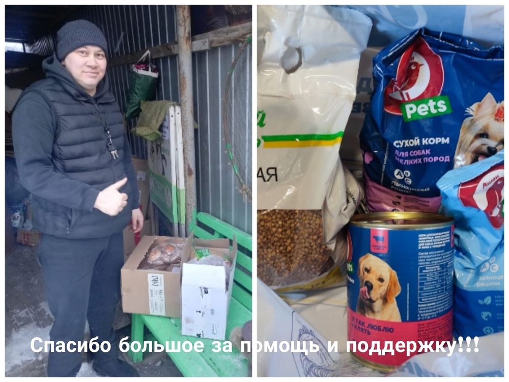 GKbYec_SI0BDiPyVFpp7jR27SPqLPwgg8myNaXZ6