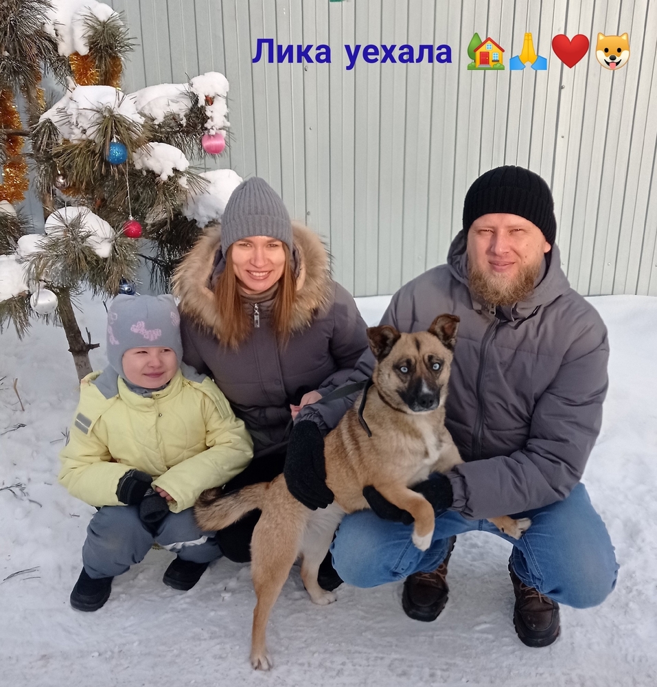 SbZ63iyEXVXnpA3DL7PK47oi9hdiY13yprjw_olI