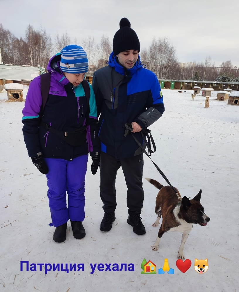 XMi7cU0SXxmaWaSzaOTo7FWog4NBVgeoPYiWUCmK