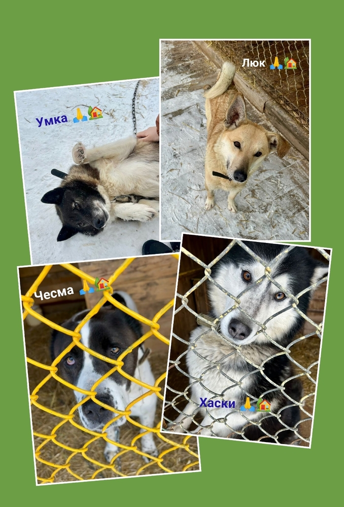 ap32b16qZhQA7_S32qZSVAIFOWrXiUy9OqWPB1sS