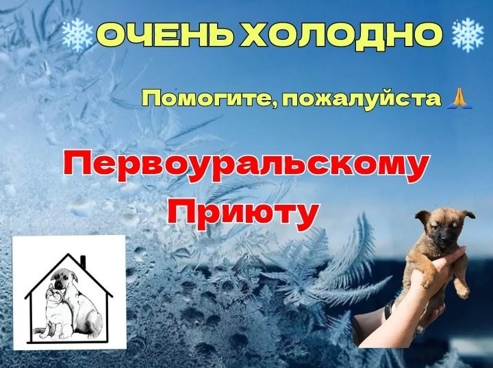 UktHMVxm9E49semaUCrx_mrCQllYPcq1ha8ITYpu