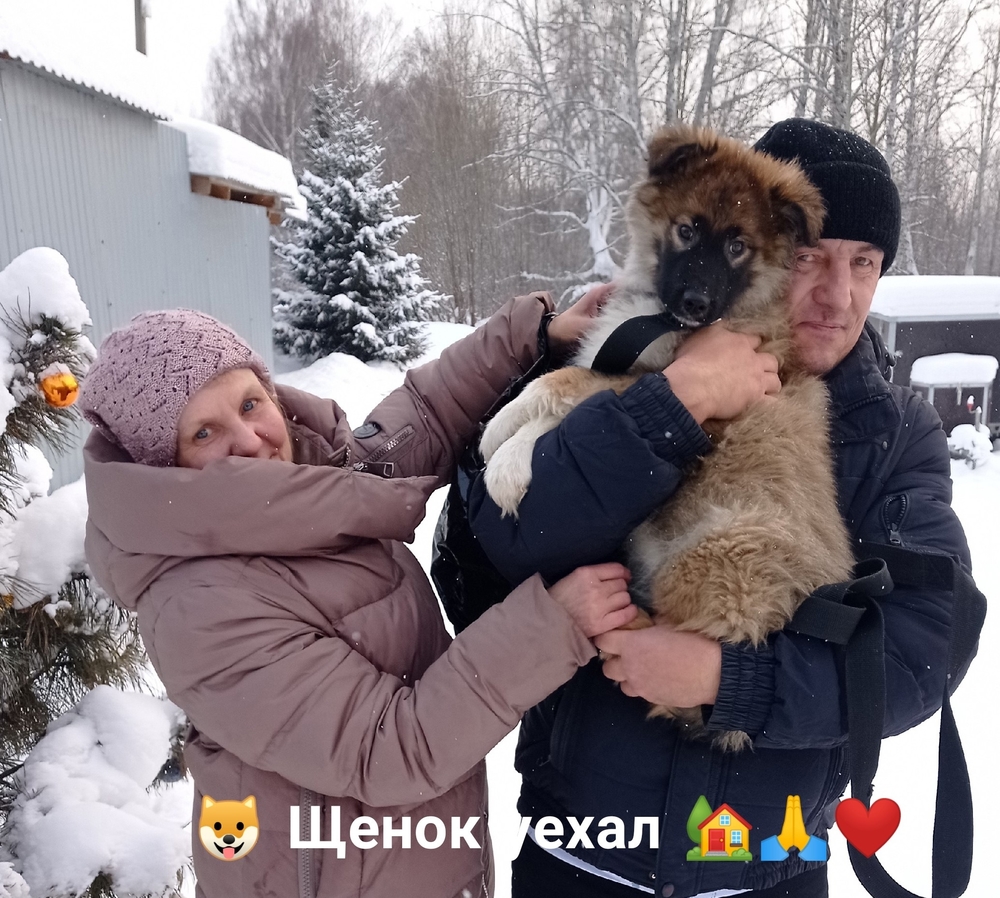 t7AIgWB1SnNrntENOKnOA1VvYUcdTAstSipQm2dY