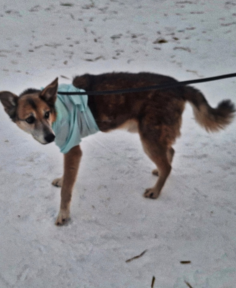 56qvILykQs3a1irtvGZjwFHVV_Bw1LdbbOBdDOBe