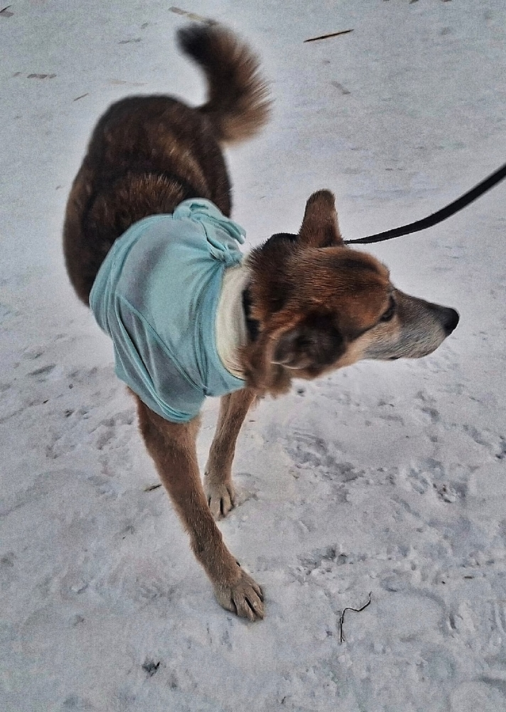 g-tPuVQytWGbQlrisY_fXBrMLZt1LDhhAxuff_dG