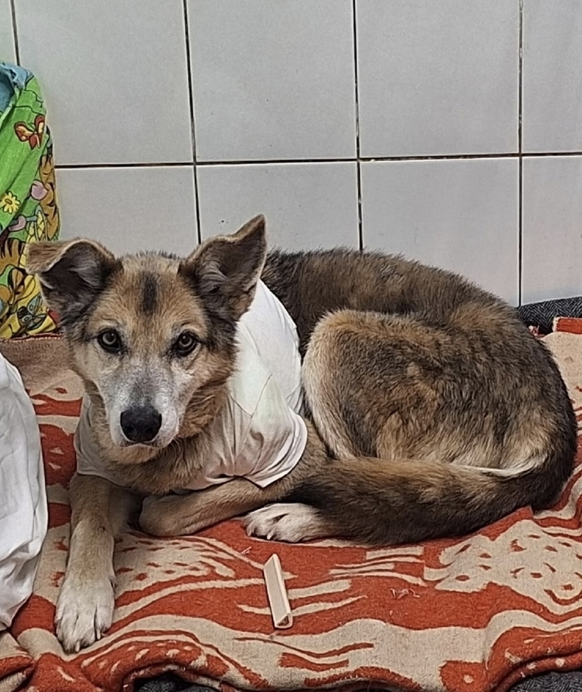 S2SwvARWS36Urm8CAtctkNT5kqCLtZO2QIX9oOOk