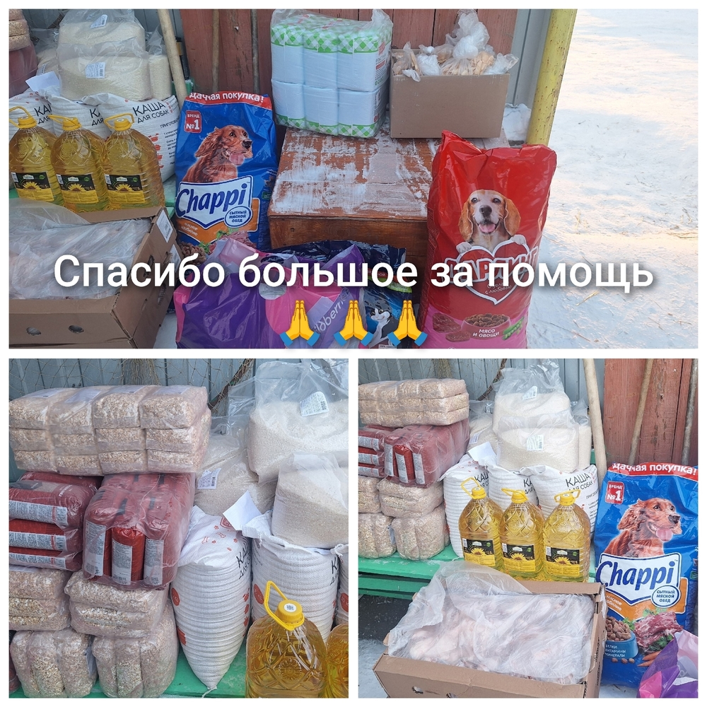 Qte-TxzhAM1R4XO2pyjDqy9utWyBwwXjpke3ed8p