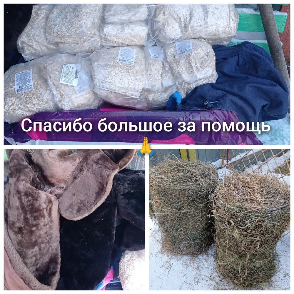 2zWbx7Bec_2pz4Hw09RQKebjQlNxOnnjaI0bMtrM