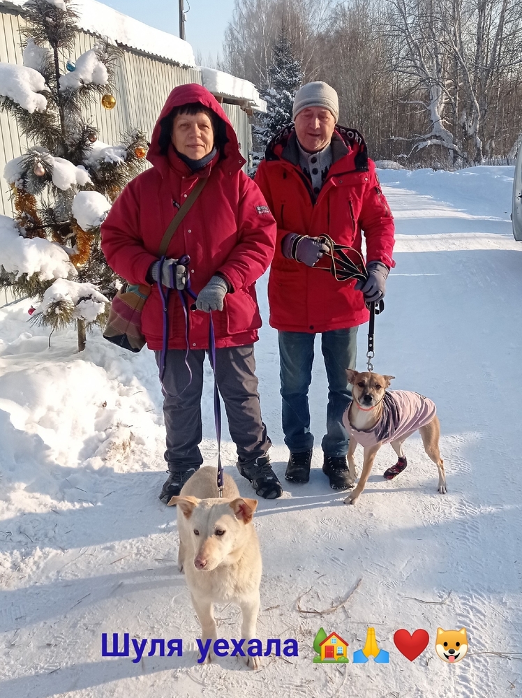 kjUGi_dO-cctvOEIKAhicYVt_UxKvLgQ0UlxXBKG