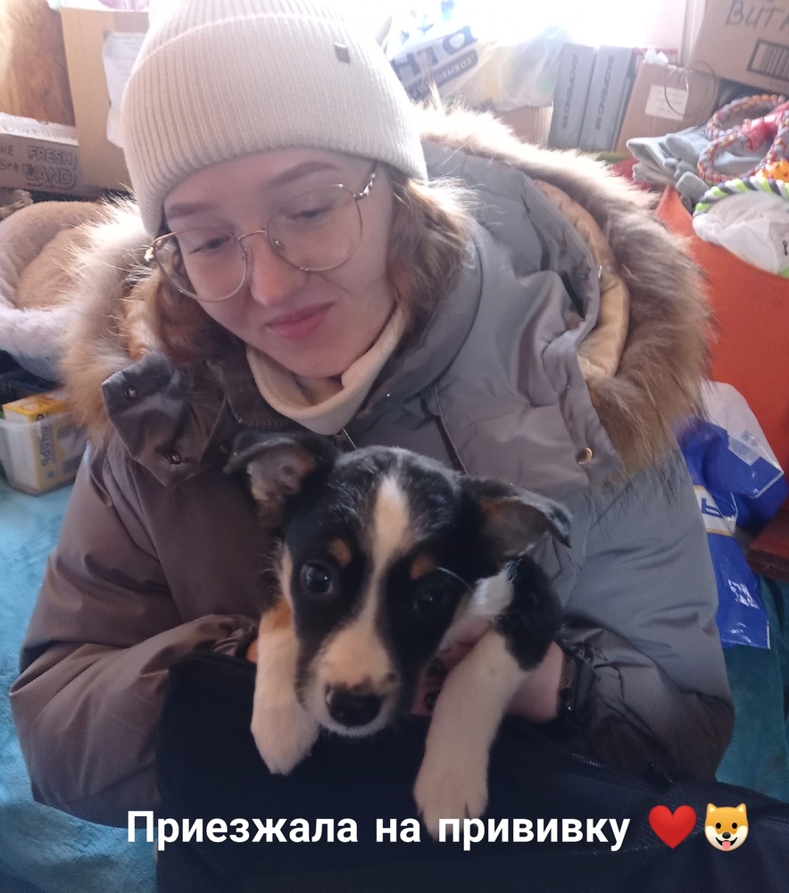 Oo_xEZND6YRAIernA803YjA1Gs4QvwjT0R86DcQa