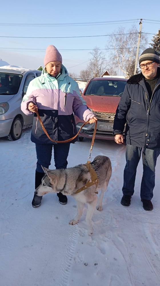 _q92xgVflEmyv66MM190-ffvjMlmJY22vzm7MivG