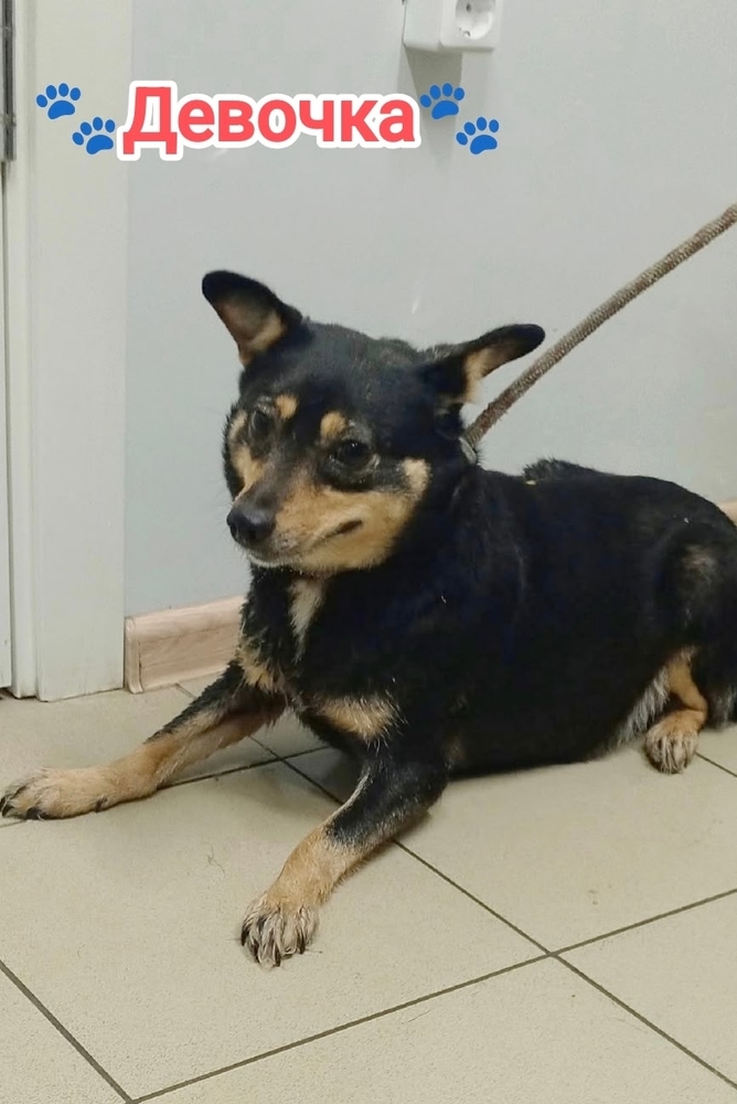 CFHqhB5k0OKzrrW8NCmvwPtK7aYYsRq-F1UpHrg3