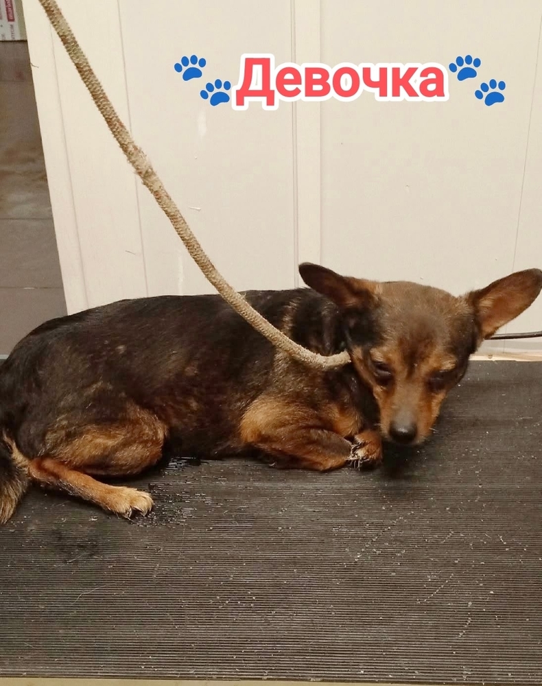 CfQM0kUtukE-OMCgGlbSkFS75TxrOanA0Iy7P1jm