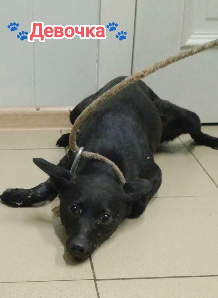 lGFTZU-IzKaQJDt0pNhoGfxYmYbN3qJ7ifGT7U2q