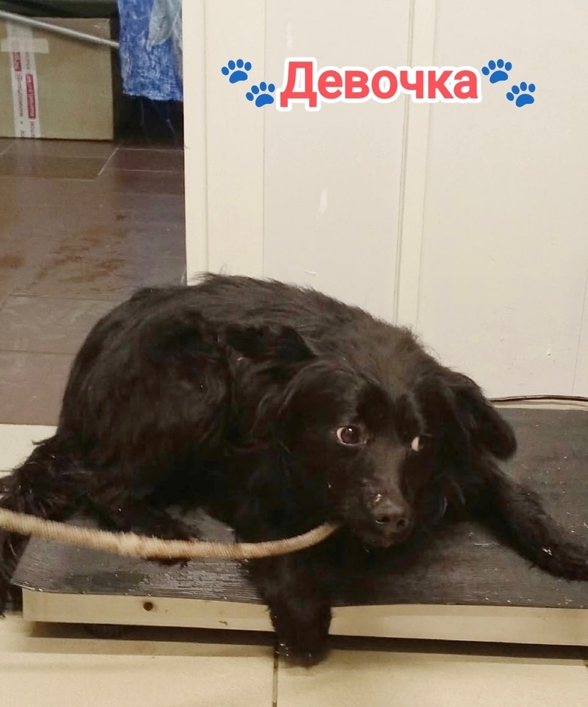 QovpQvr34abUwbZmrNsdMrqCTt02DuvGe6t2_sMK