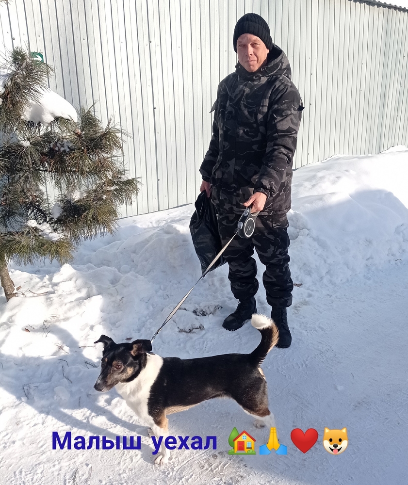 lv2znwN4bgJ0QwBK5ppnrI2n2-Nfw8Wc058t_T5-