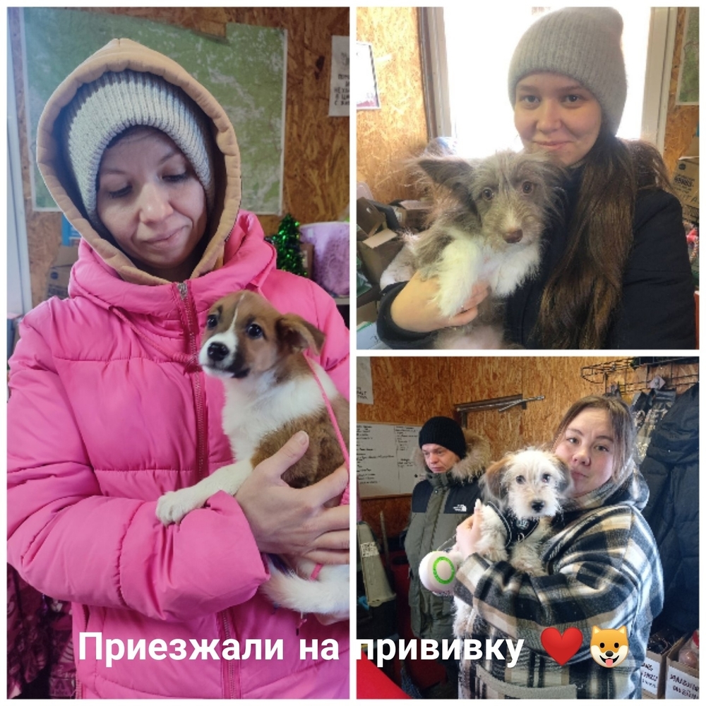 YsS_md5VxDuJj7YZp0yfVJJkkhJoc2jJUnIrvbLN