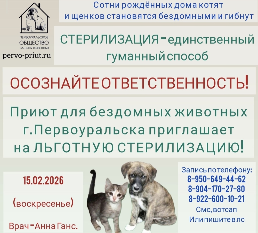 DuNUHCuYwalOpFBP7NSCRjHdA8YrUsPKbgVGuaxp