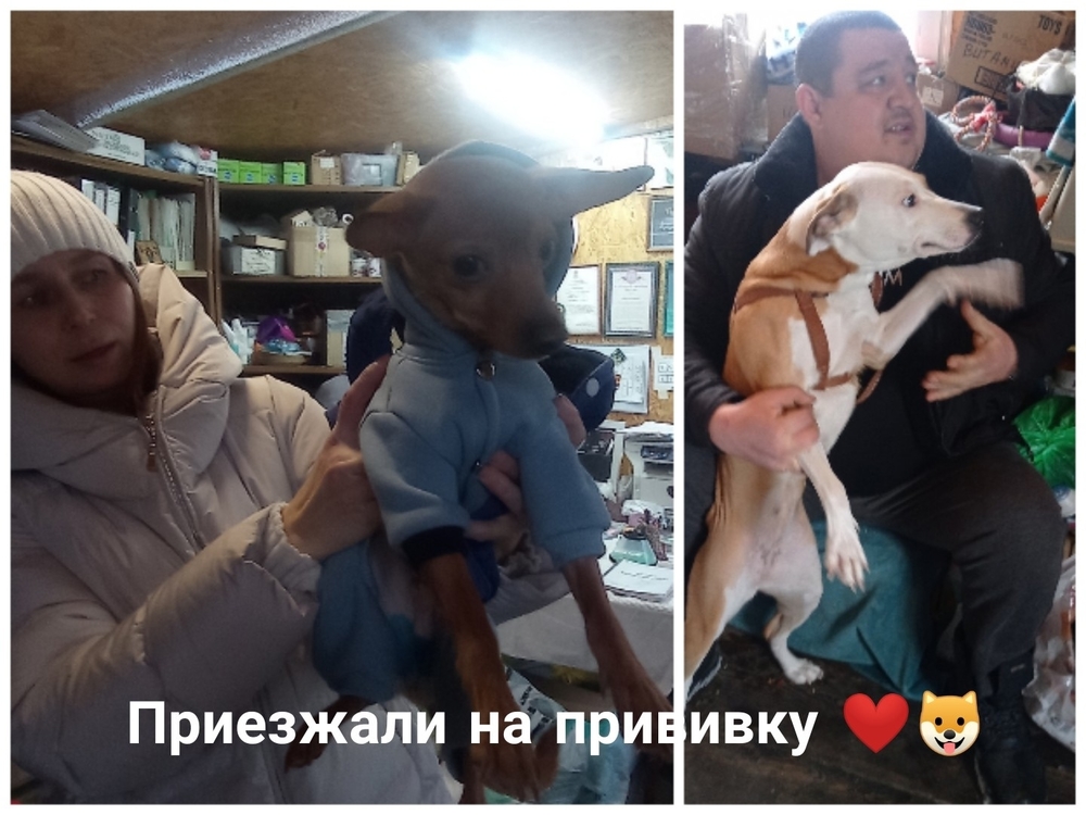 _vJSU4S_jgBRLu89ipEAXCFDptAKY08JJ8ottgsJ