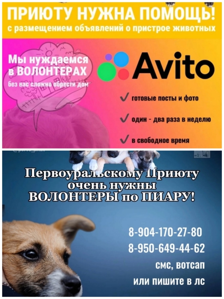 qIVkiFFUwOdQVxcNtifuF2F9fAMBB2W-B-NK6BXz