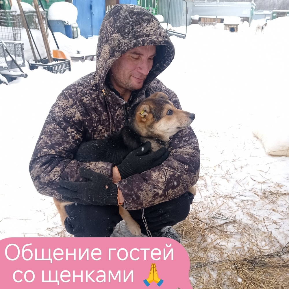 MCciGNkubNGy0glHKoGSCCKRa9G9-qRJ5rffSzyE