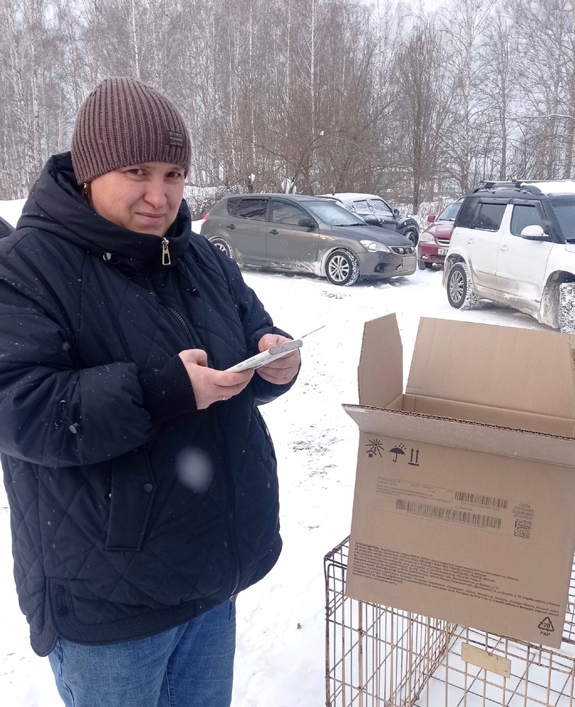 lhkNLFTZ5k8YeLAaoHYizsFUXe6k7V3BfPQFnZpK