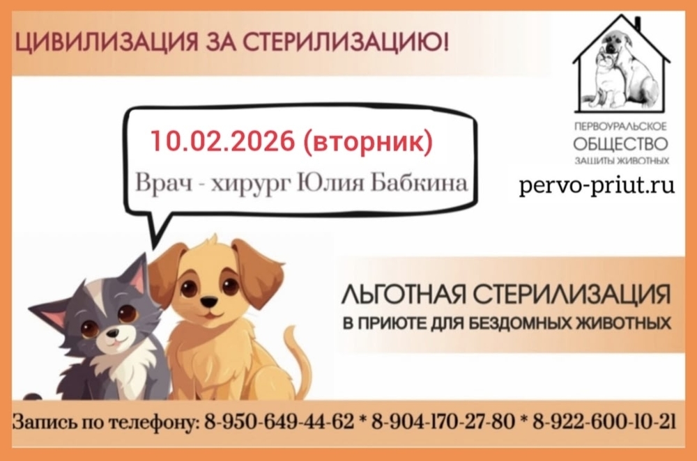 G_lu3cwzXy7waHQkpJbsqDR7zWNOTlOVmpmmTxdl