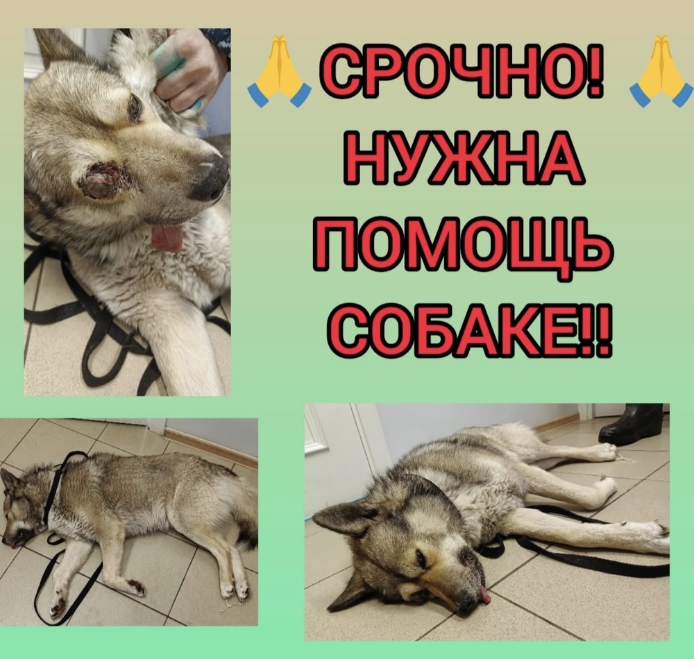 AeHHz1tkH0xxDGBybAuahd-D1OBi-U8P8Bzzu_VN