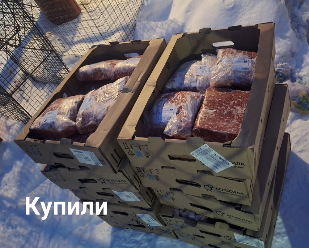 _YNptaZWQrg-9lFGoXhLKGJ-wXdP1ItHRnIZPsNi