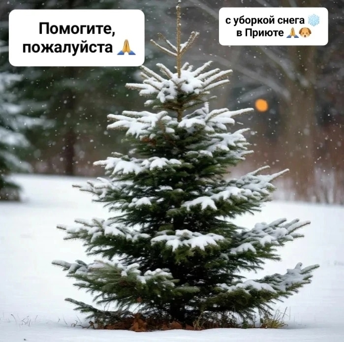 2nBp-cmclGO86zb_ieIAr8RK7Zi3JSTiAg3q1b8h