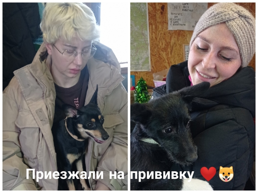 H0mGHO62X9vkjNI_EsXzw5PR_PuxVqVAzofOwbdO