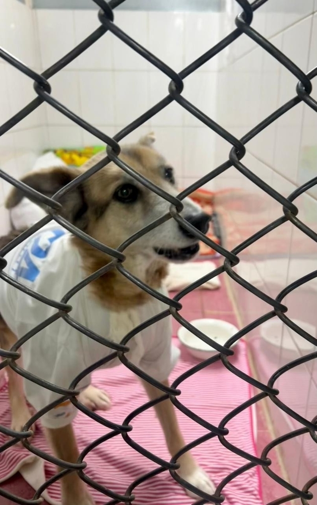 aEq6FRRRyUN_NtF7hTncd6XYj4sMPYJYR0g5q27v