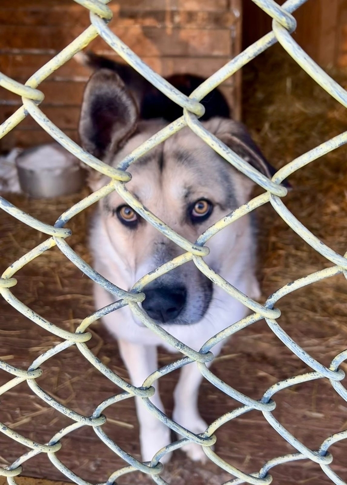 F7gMyqBvCtdBatRUFwxFg8qzmoED_VkVSmtNfeZf