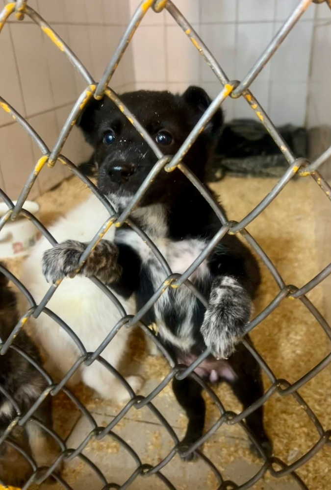 -0PHfw2Tdngf9GJnP0shPCDjSWRcqxcOX9AntwQU