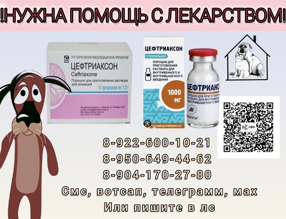 VBAjGrsJCWIzh1RG-JVq7jAJzXtqex2Ig17tBxLn