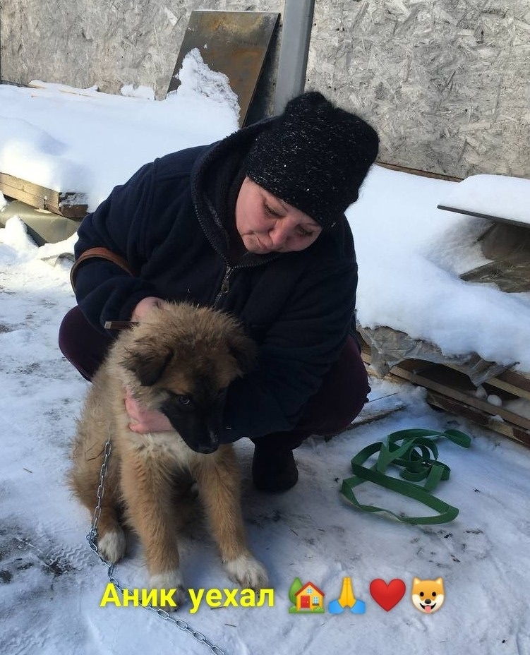 XXzO-MmymlB98af8sRt1hLpYLlM5edeTp44kbiMo