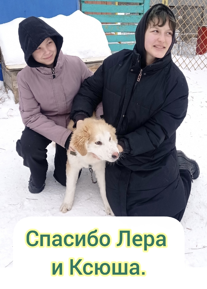 2a3VoKH90-fTU4H-dHFKlC3cge9DQv1wP3_wznuS