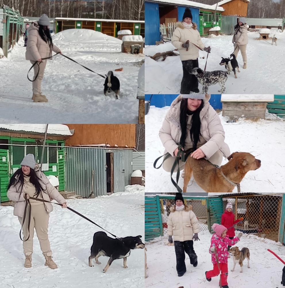 8m_UlE5wlQ-wRM2_dWG_Shkg49iFiPR0uBFWsear