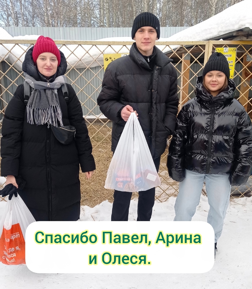 er8Xmh6v0bzkgds0fFQowVzAI8hw5_--_Z5zzyNw